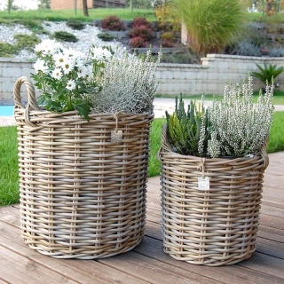RATANOVÉ Koše DUO, Grey - SET